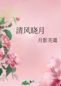 《清风晓月》