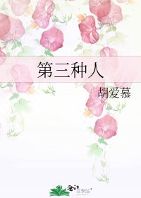 《第三种人》