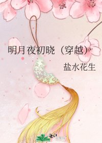 《明月曆初曉(穿越)》