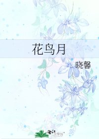 花鸟月