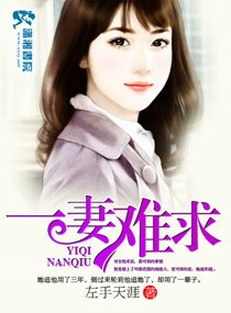 《一妻難求》