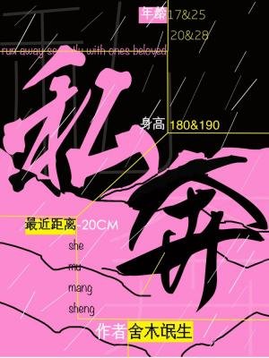 《私奔》
