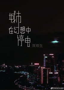 《城市在幻想中停電》