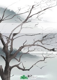 天引之双生传说