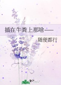 插在牛糞上那啥——