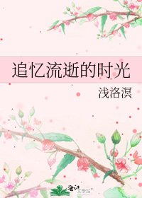 《追憶流逝的時光》