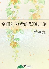 空间能力者的海贼之旅