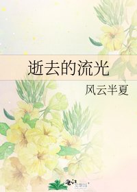 《逝去的流光》