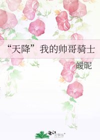 《“天降”我的帥哥騎士》