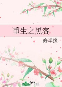 《重生之黑客》
