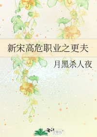 《新宋高危职业之更夫》
