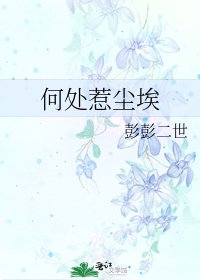 《何處惹塵埃》