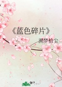 藍色碎片