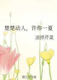 楚楚动人，许你一夏