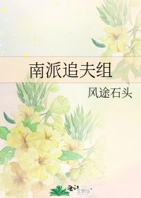 南派追夫組