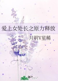 爱上女处长之原力释放