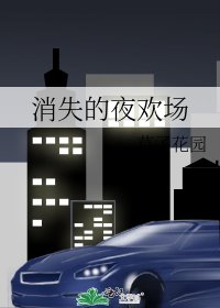 《消失的夜欢场》