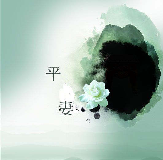平妻