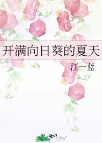 開滿向日葵的夏天