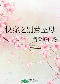 《快穿之別惹聖母》
