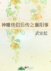《神鵰俠侶後傳之襄陽事》