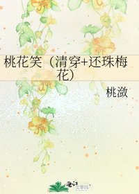 《桃花笑(清穿+还珠梅花)》