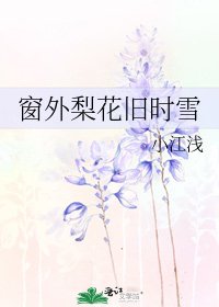 《窗外梨花舊時雪》