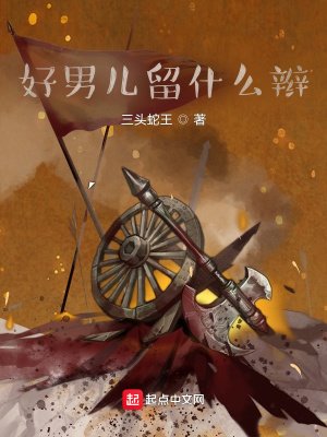 《好男儿留什么辫》