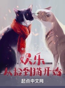 《娛樂從撿到貓開始》