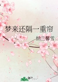 梦来还隔一重帘