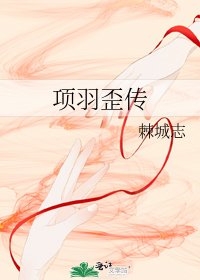 《项羽歪传》