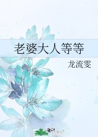 《老婆大人等等》