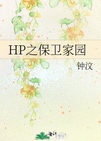 《HP之保卫家园》