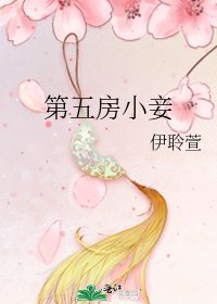 《第五房小妾》