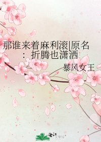 《那谁来着麻利滚|原名:折腾也潇洒》