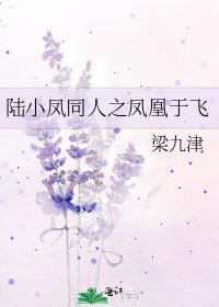 《陸小鳳同人之鳳凰于飛》