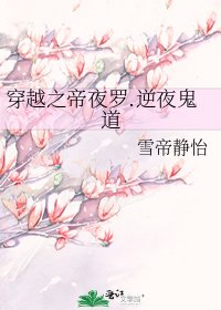 《穿越之帝夜罗.逆夜鬼道》