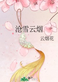 《沧雪云烟》