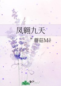 《凤翱九天》