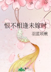 《恨不相逢未嫁時》