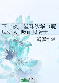 《下一夜,曼珠沙华(魔鬼爱人+吸血鬼骑士+网王+花样男子)》