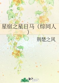 星宿之星日马（综同人）