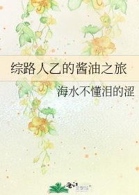 综路人乙的酱油之旅