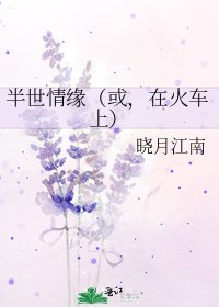 《半世情缘(或,在火车上)》