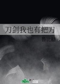《刀剑我也有把刀》