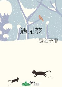 《遇见梦》