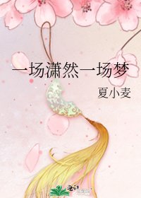 一场潇然一场梦
