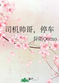 司機帥哥,停車