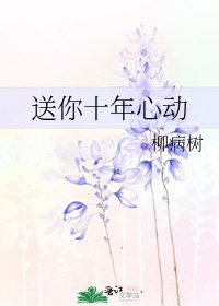 《送你十年心動》