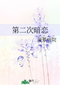 《第二次暗戀》